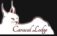 Caracal Lodge Mpumalanga