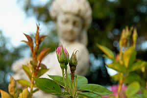 Garden Statue De Ark Guest House and B&B Accommodation Lydenburg, Lydenburg Self Catering Accommodation, Lydenburg B&B Accommodation, Lydenburg Guest House Accommodation, Affordable Accommodation Lydenburg