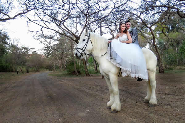 wedding_horse