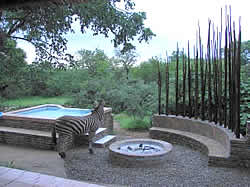 Zebra at Malelane Self catering lodge accommodation at Khaya Umdani Self catering lodge in Mpumalanga