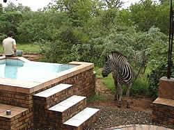 Malelane Self catering lodge accommodation at Khaya Umdani Self catering lodge in Mpumalanga - Pool