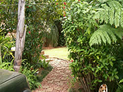 White River self catering - White River accommodation - Affordable accommodation in White River - Accommodation close to Kruger Park - Kingsview Self Catering Cottages in White River