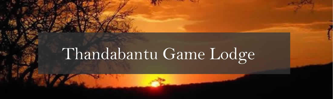 Game Lodge Mpumalanga - Thandabantu Game Lodge