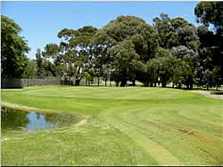 Witbank Golf Club dates back to 1907.