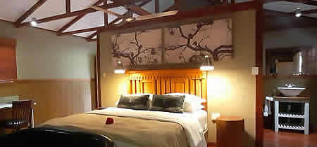 5th seasons guesthouse - Nelspruit accommodations - overnigt accommodation - self catering accommodations - luxury rooms - bird watching