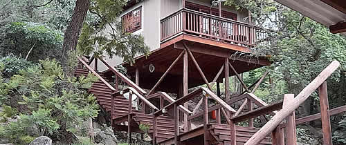 5th seasons guesthouse - Nelspruit accommodations - overnigt accommodation - self catering accommodations - luxury rooms - bird watching 