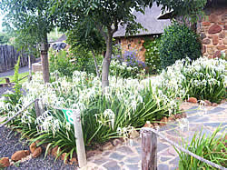 Lydenburg Accommodation - Lydenburg Self catering - Klitzgras Chalets - Klitzgras Self catering accommodation