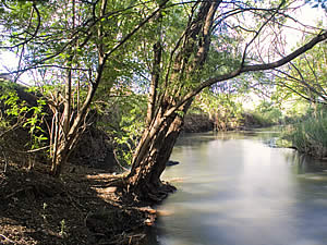 Caravan Park in Lydenburg